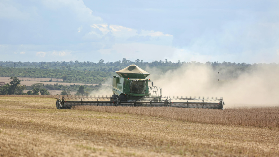 Brasil mantém liderança na produção de soja, aponta USDA