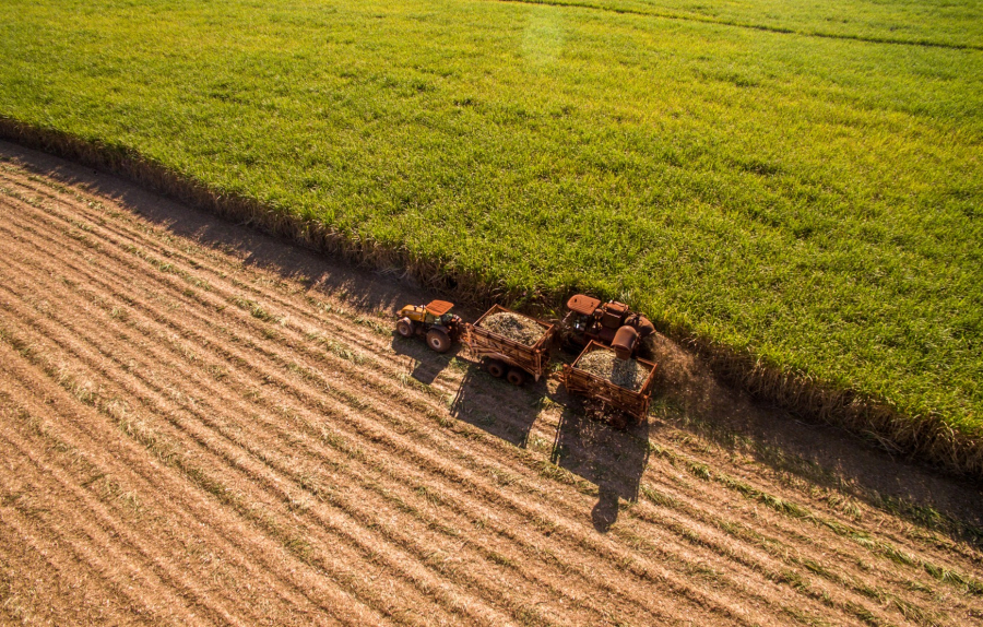 ICL aposta em fisiologia vegetal para impulsionar lavouras no interior paulista
