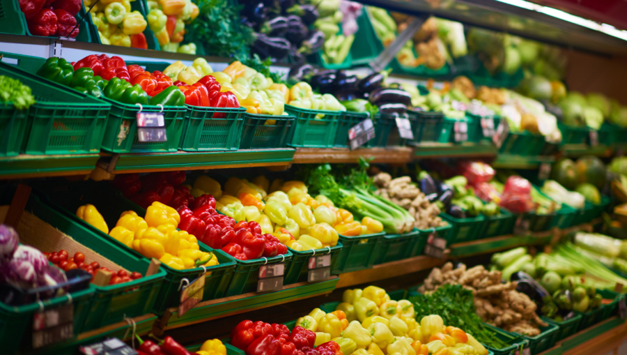 Brasil desperdiça até 50% dos alimentos produzidos